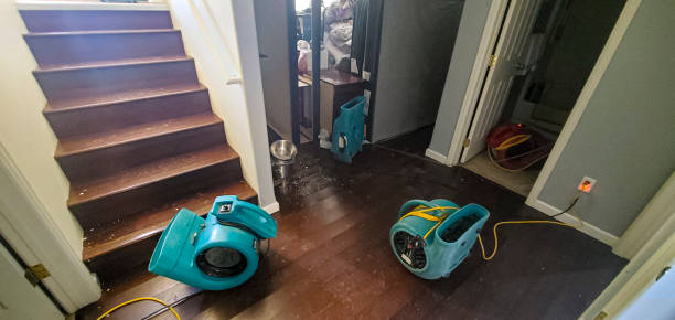 Best Water damage restoration near me  in Shelton, CT