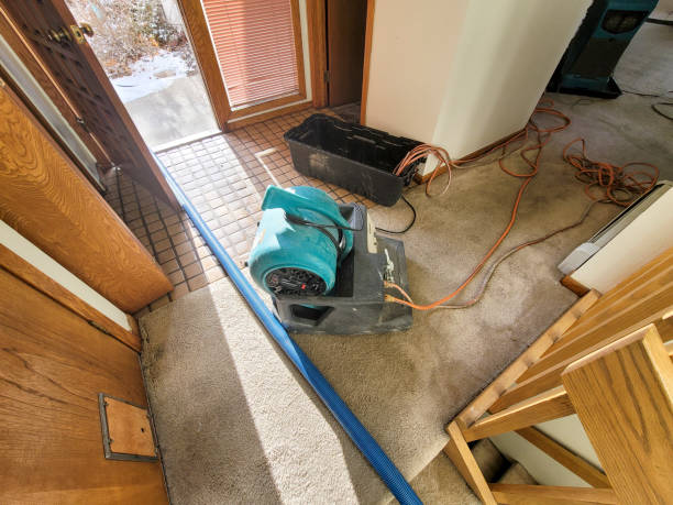 Best Water damage cleanup near me  in Shelton, CT