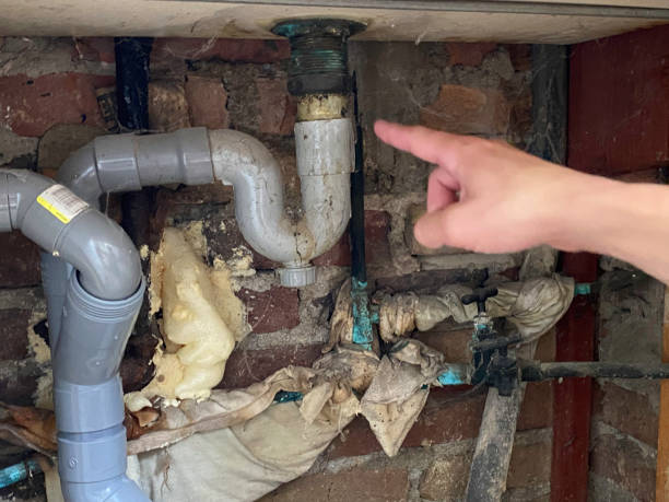 Best Residential water damage restoration  in Shelton, CT